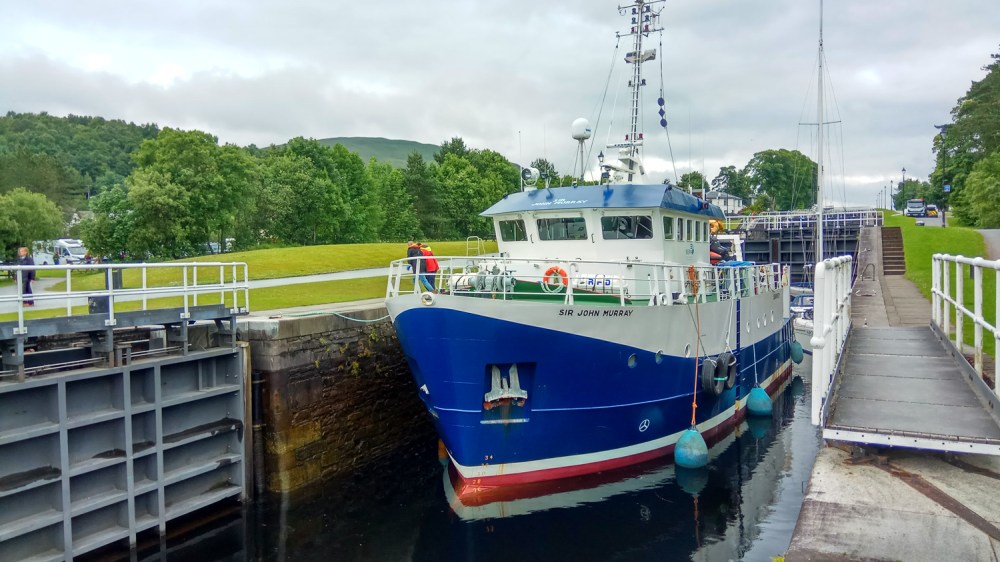Blue and white boat in a canal lock surrounded by greenery.