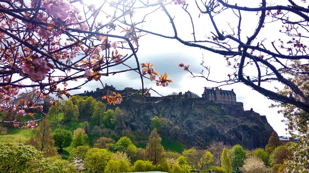 Castle on a hill with blooming cherry blossoms and lush greenery.
