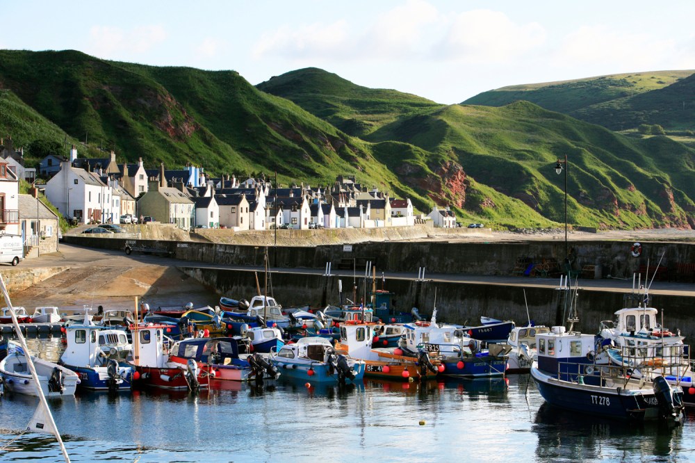 Harbor with small boats, village, and green hills in the background.