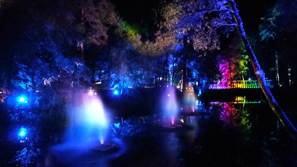 Colorful lights illuminating trees and water fountains at night.