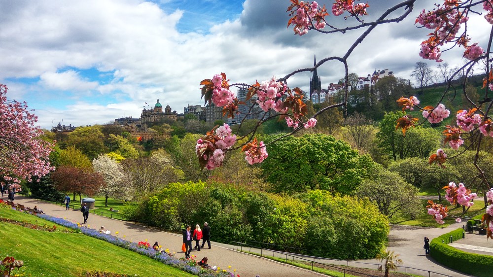 Park with blooming trees, green lawns, and people walking under a cloudy sky.